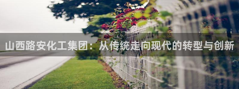 球盟会游戏几点玩合适：山西路安化工集团：从传统走向现代的转型