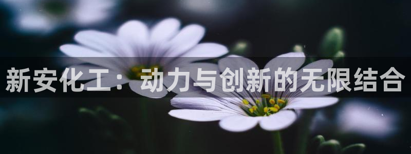 球盟会在线网站：新安化工：动力与创新的无限结合