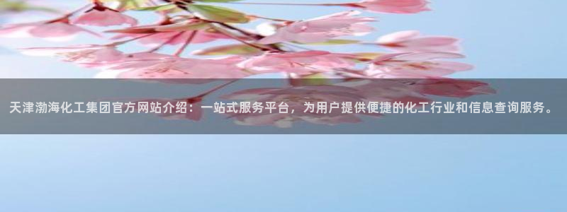 球盟会有没有黑单的球员：天津渤海化工集团官方网站介绍：一站式