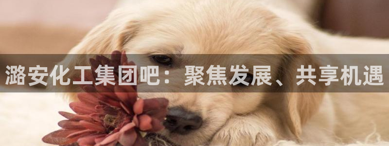 球盟会能提现吗是真的吗：潞安化工集团吧：聚焦发展、共享机遇