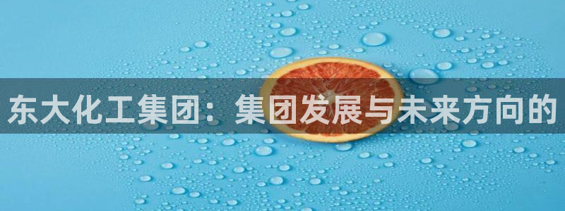 球盟会APP最新地址：东大化工集团：集团发展与未来方向的