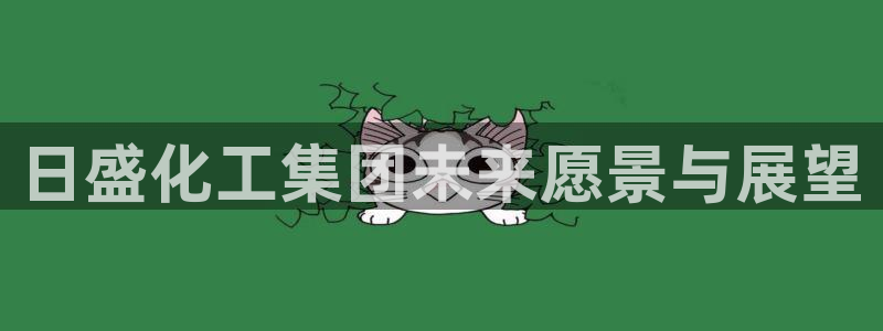 球盟会可以提现么：日盛化工集团未来愿景与展望