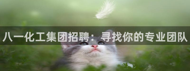 球盟会官方最新入口：八一化工集团招聘：寻找你的专业团队