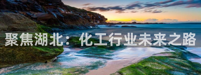 球盟会封号：聚焦湖北：化工行业未来之路