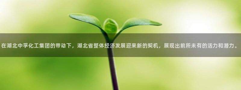 球盟会头号玩家是谁：在湖北中孚化工集团的带动下，湖北省整体经