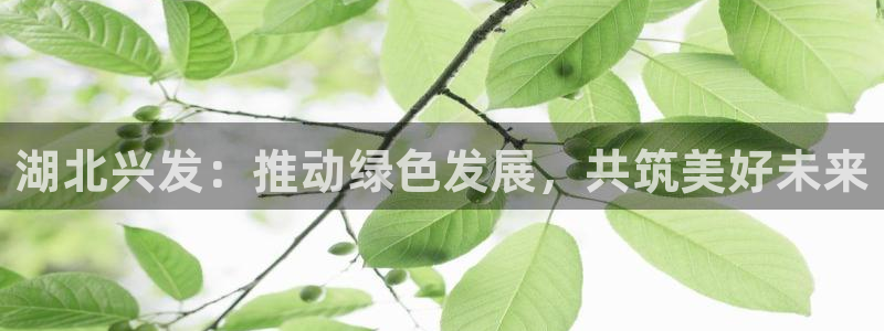 球盟会qmh网页版登录 - qm球盟会官方网站：湖北兴发：推
