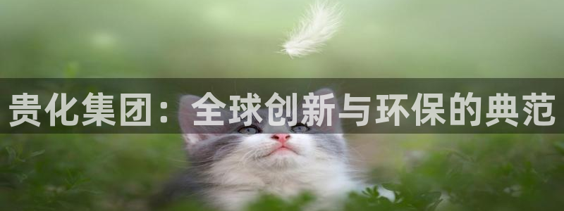 球盟会：贵化集团：全球创新与环保的典范