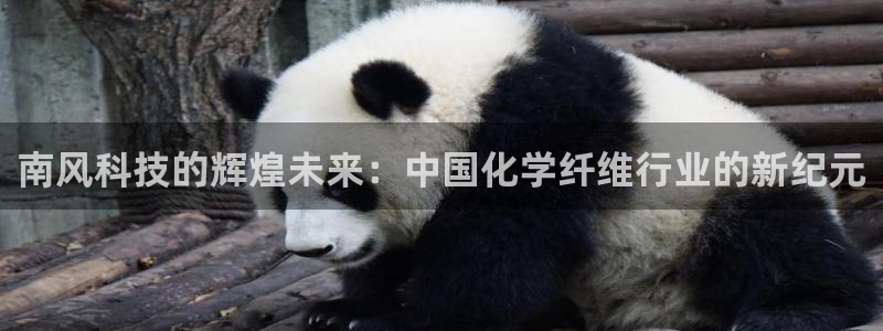 球盟会进不去：南风科技的辉煌未来：中国化学纤维行业的新纪元