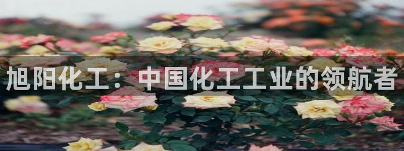 球盟会黑嘛：旭阳化工：中国化工工业的领航者