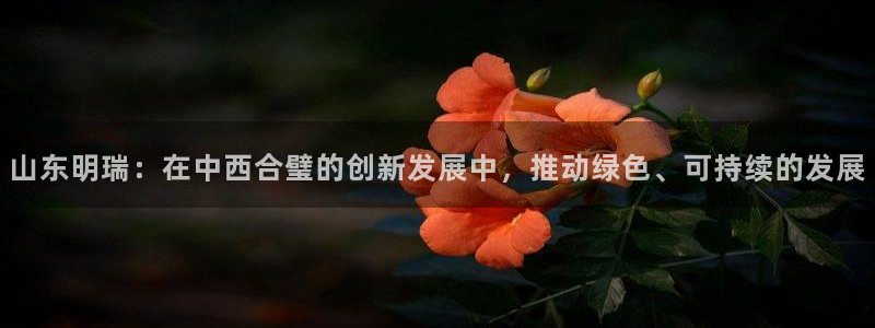 球盟会qmh：山东明瑞：在中西合璧的创新发展中，推动绿色、可