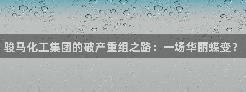 球盟会qmh网页版登录：骏马化工集团的破产重组之路：一场华丽