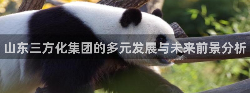 球盟会app网址多少号：山东三方化集团的多元发展与未来前景分