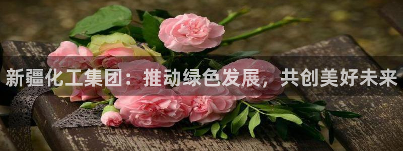 球盟会官网网页版