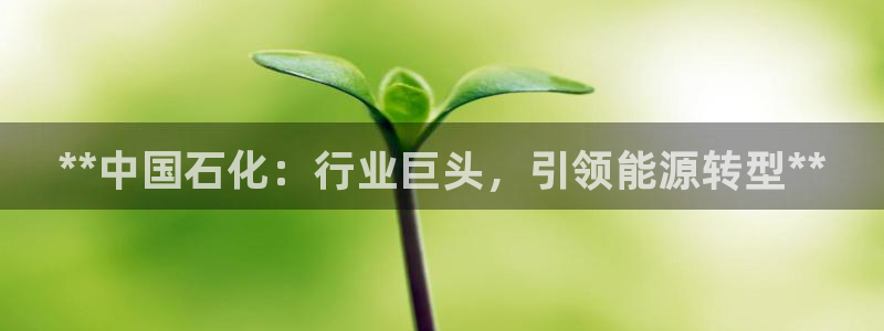 球盟会qmh网页版登录