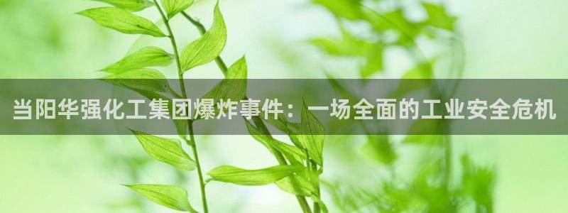 球盟会官方网页登录