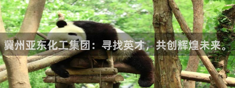 球盟会体验金球奖吗