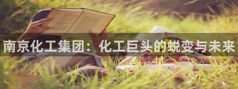 球盟会进不去吗