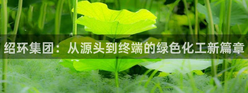 球盟会有没有黑单的球员