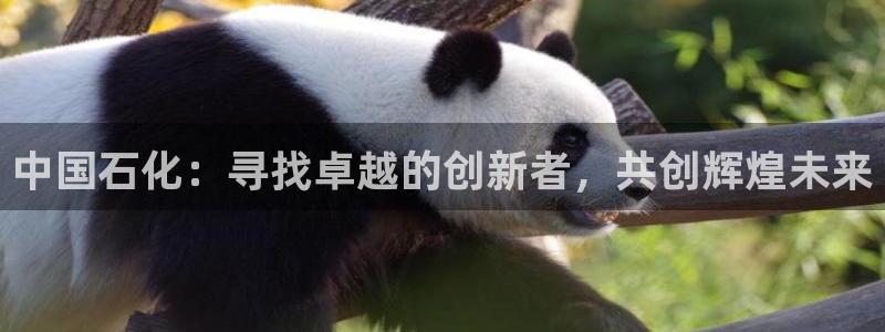 球盟会黑钱：中国石化：寻找卓越的创新者，
