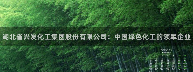 球盟会app网址多少：湖北省兴发化工集团