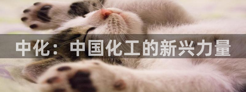 球盟会综合体育平台怎么样：中化：中国化工的新兴力量