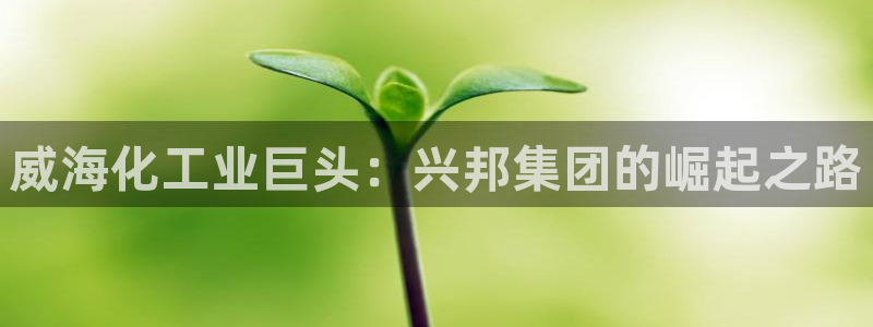 球盟会app最新地址下载