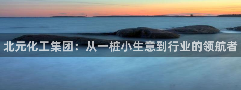 球盟会官方网页登录：北元化工集团：从一桩小生意到行业的领航者