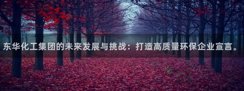 球盟会最新：东华化工集团的未来发展与挑战：打造高质量环保企业