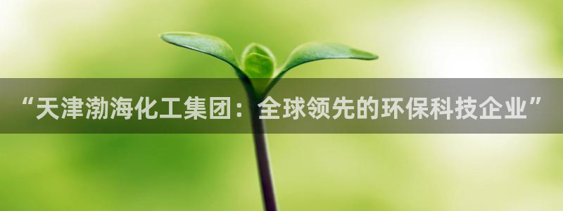球盟会平台怎么样：“天津渤海化工集团：全球领先的环保科技企业