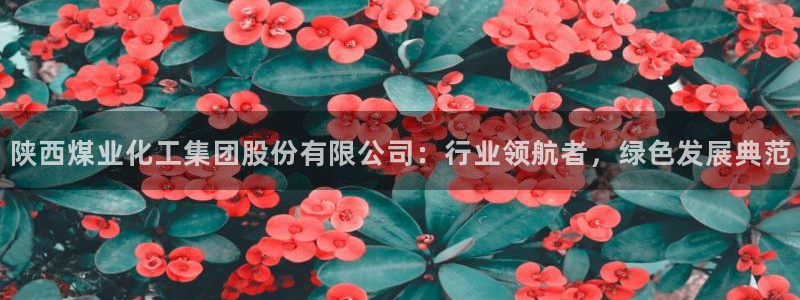球盟会最新网：陕西煤业化工集团股份有限公司：行业领航者，绿色