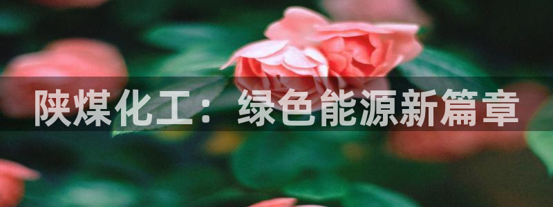 球盟会APP下载：陕煤化工：绿色能源新篇章