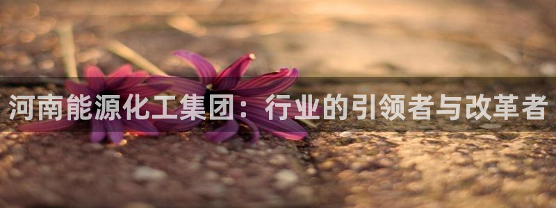 球盟会黑款吗：河南能源化工集团：行业的引
