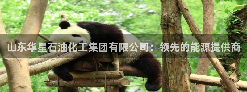 球盟会电子：山东华星石油化工集团有限公司：领先的能源提供商