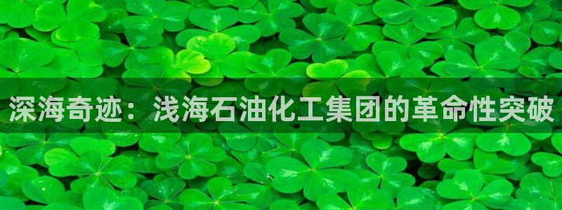 球盟会下载最新版：深海奇迹：浅海石油化工集团的革命性突破
