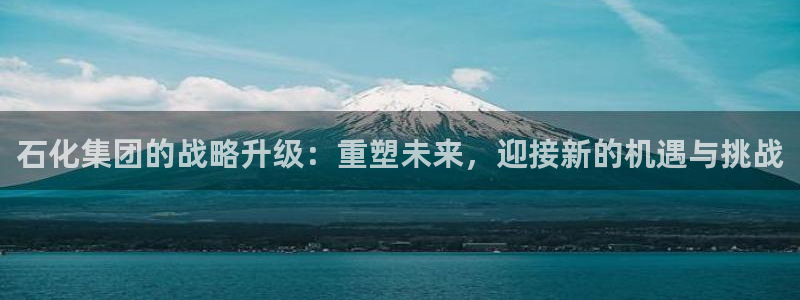 球盟会App：石化集团的战略升级：重塑未来，迎接新的机遇与挑