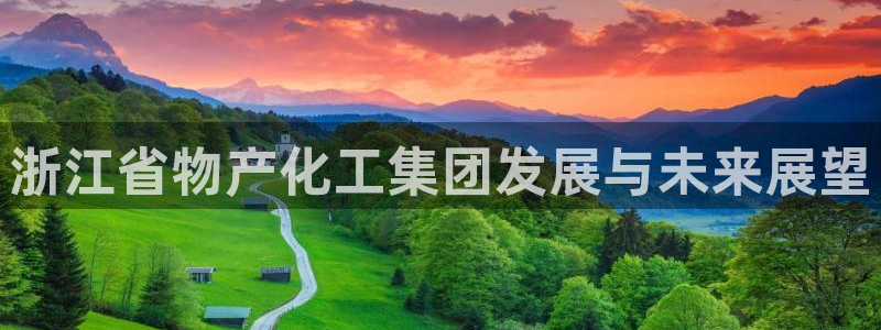 球盟会综合app下载：浙江省物产化工集团发展与未来展望