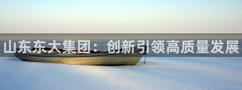 球盟会在线登入：山东东大集团：创新引领高质量发展