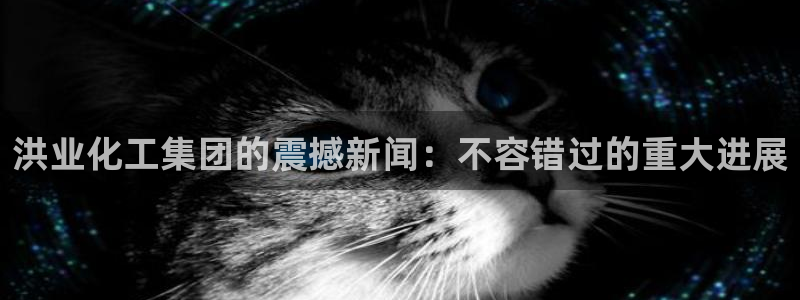 球盟会手机网页版