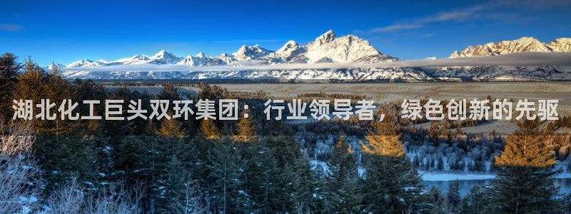 球盟会封禁：湖北化工巨头双环集团：行业领导者，绿色创新的先驱