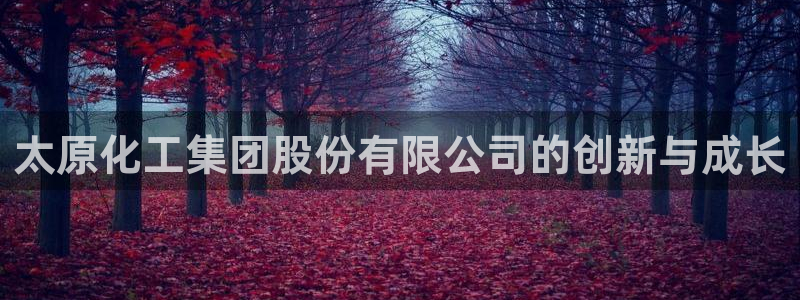 球盟会游戏：太原化工集团股份有限公司的创新与成长
