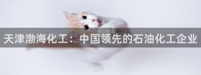 球盟会黑款吗还是白款