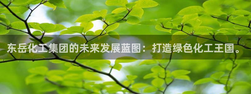球盟会官方网址入口：东岳化工集团的未来发展蓝图：打造绿色化工