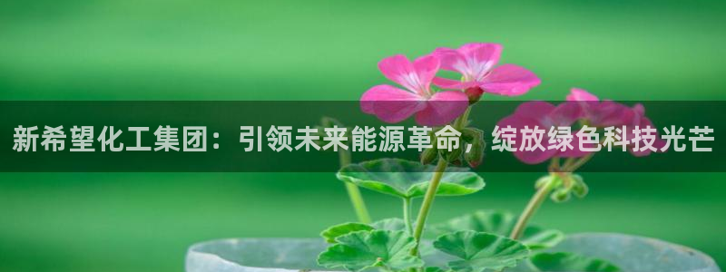 球盟会几点玩合适：新希望化工集团：引领未来能源革命，绽放绿色
