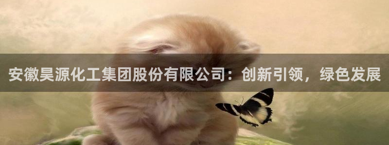 球盟会黑款吗知乎小说：安徽昊源化工集团股份有限公司：创新引领