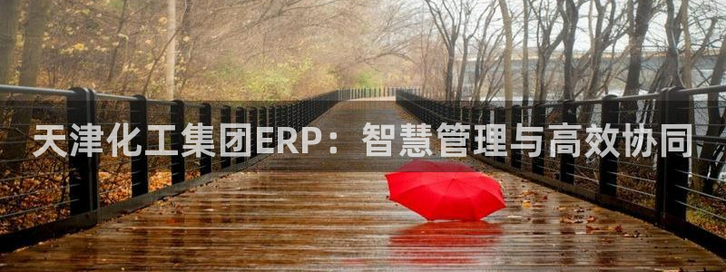球盟会：天津化工集团ERP：智慧管理与高效协同