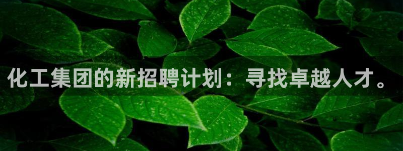 球盟会官方app首页入口：化工集团的新招聘计划：寻找卓越人才