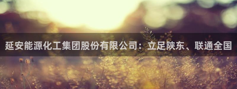 球盟会平台怎么样