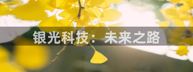 球盟会有没有黑单的活动：银光科技：未来之路