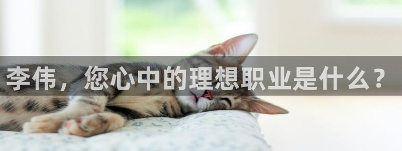 球盟会app入口：李伟，您心中的理想职业是什么？