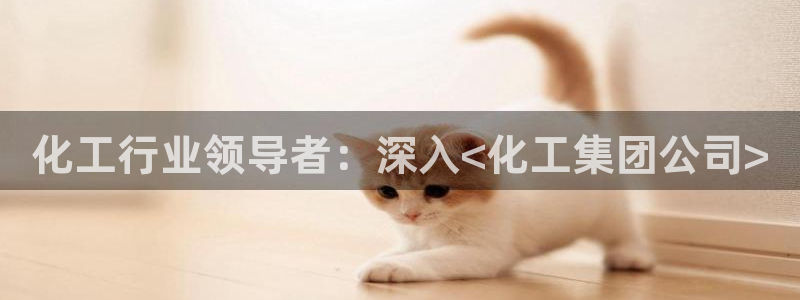 球盟会能提现吗安全吗：化工行业领导者：深